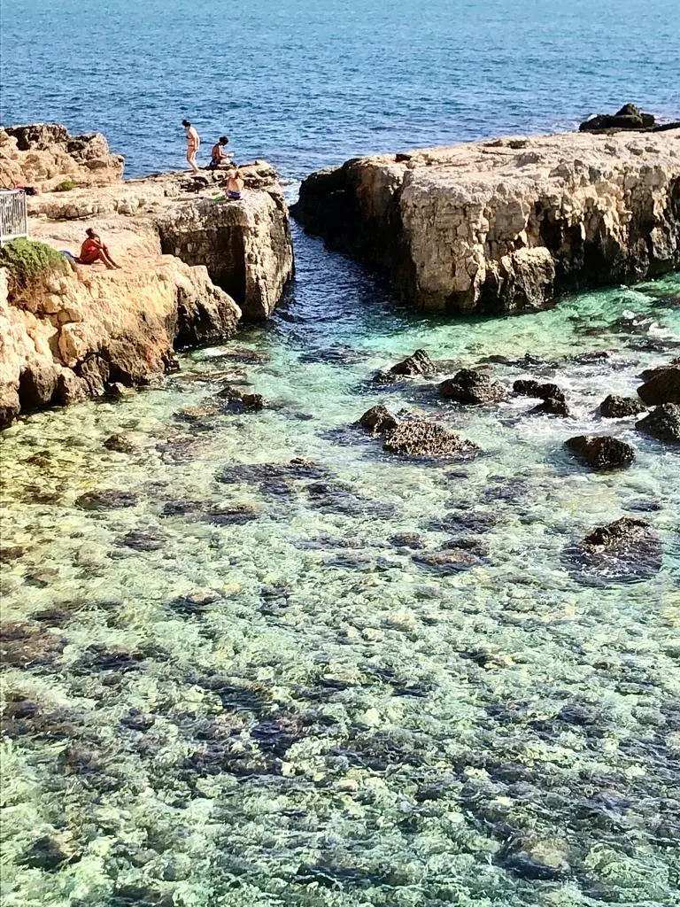 PHOTO-2023-05-23-12-00-14